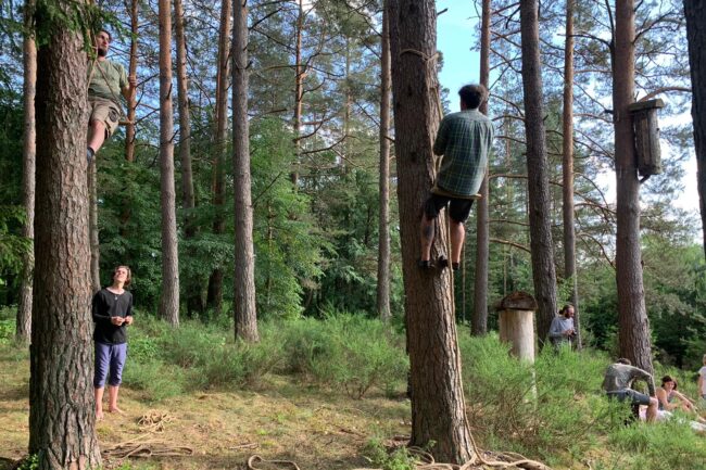 lezivo climbing at treebeekeeping workshop