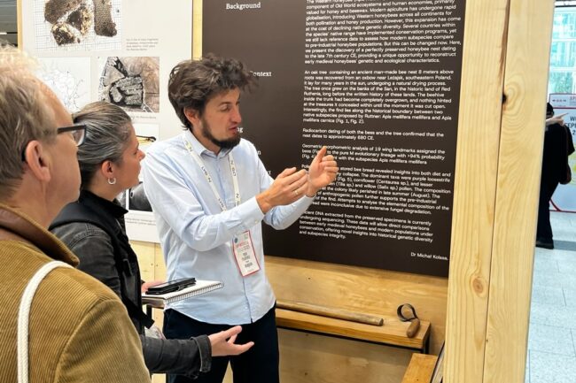 Explaining the way of tree beekeeping. Fot. Bractwo Bartne