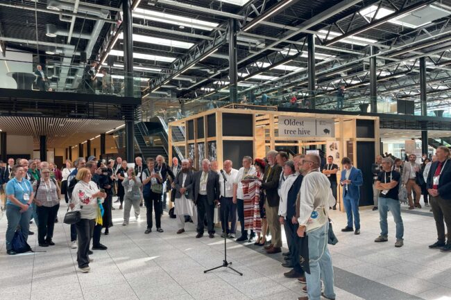 Opening ceremony of APIMONDIA 2025. fot. Bractwo Bartne