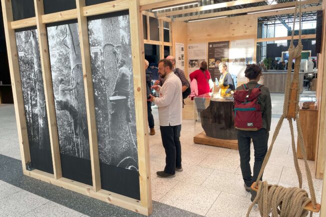 Most of the 8000 visitors from about 120 visit our exhibition at APIMONDIA. Fot. Bractwo Bartne