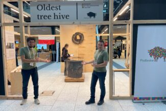Welcom in Pldest tree hive pavilon. Fot. Bractwo Bartne