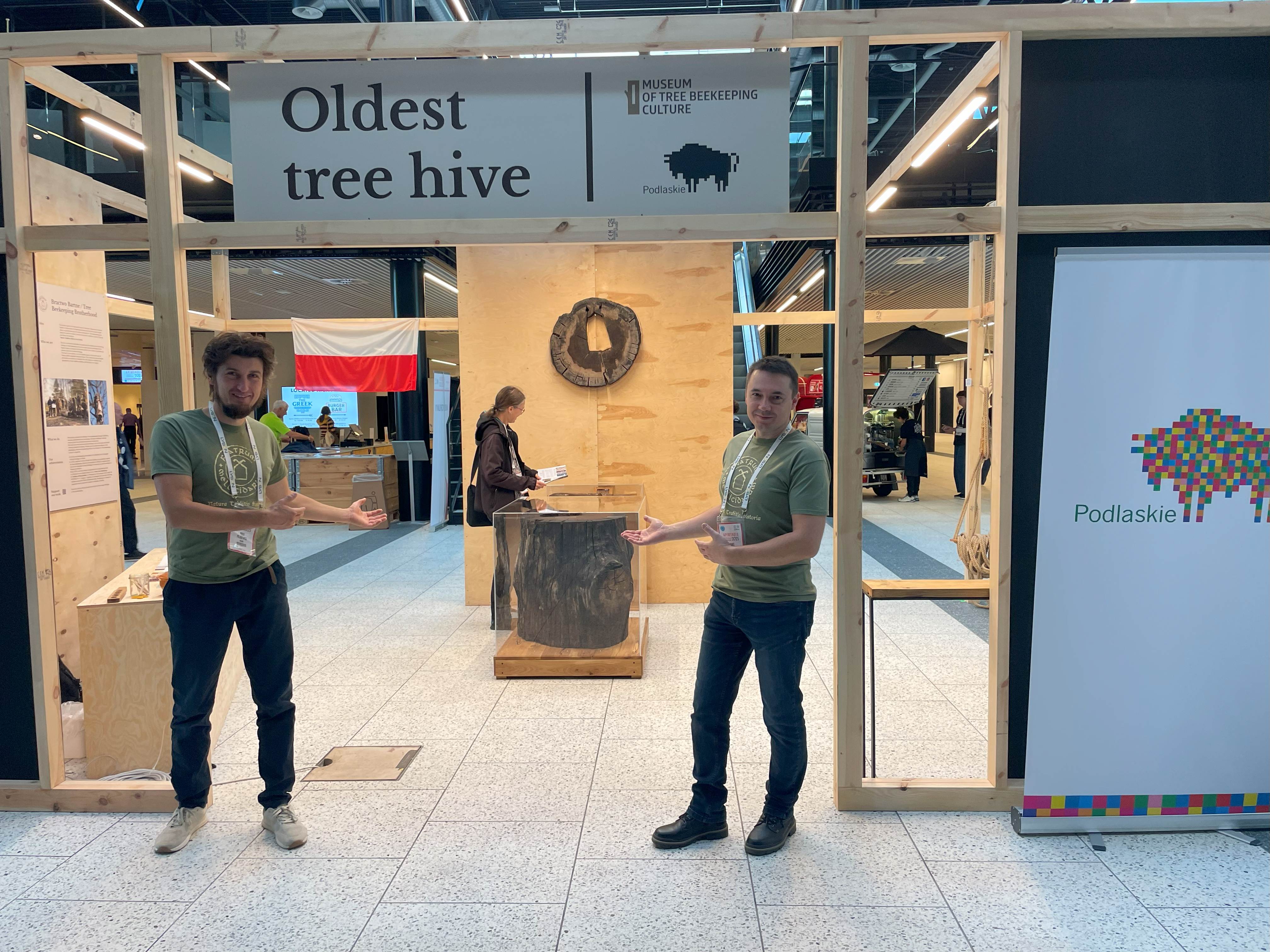 Welcom in Pldest tree hive pavilon. Fot. Bractwo Bartne